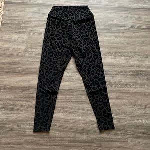 Kingdom Collection Balance Athletica